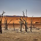 Bizarre Landschaft,  Deadvlei, Namib Desert