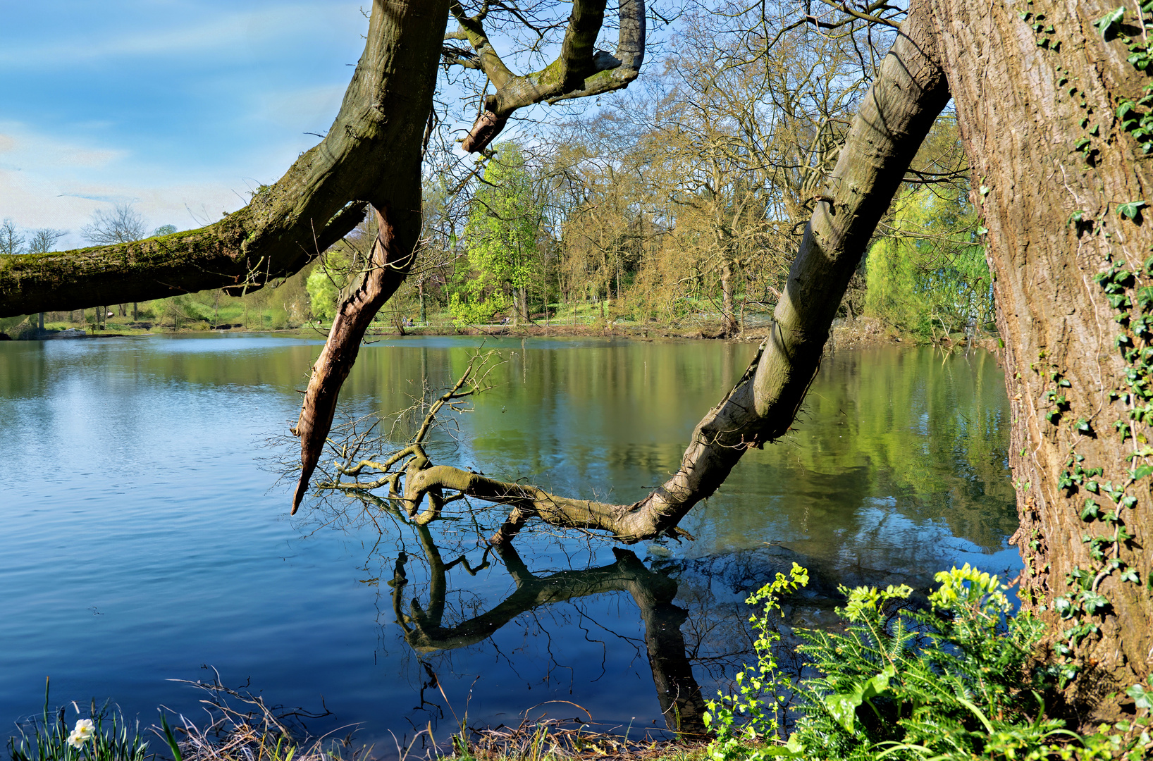 Bizarre Natur