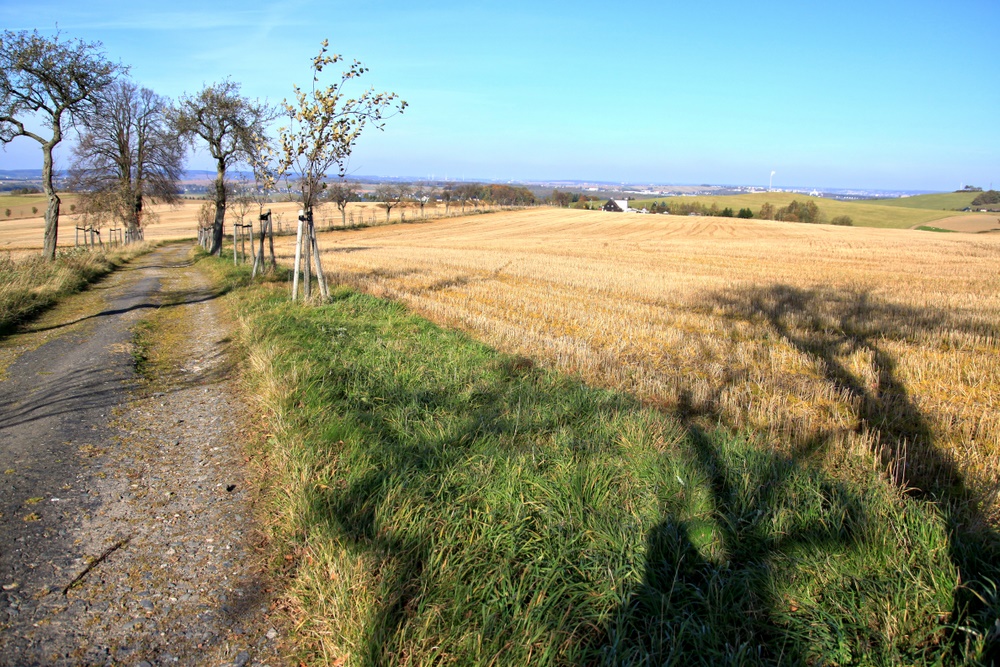 Bizarre Schatten