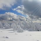 Bizarre Schneegestalten