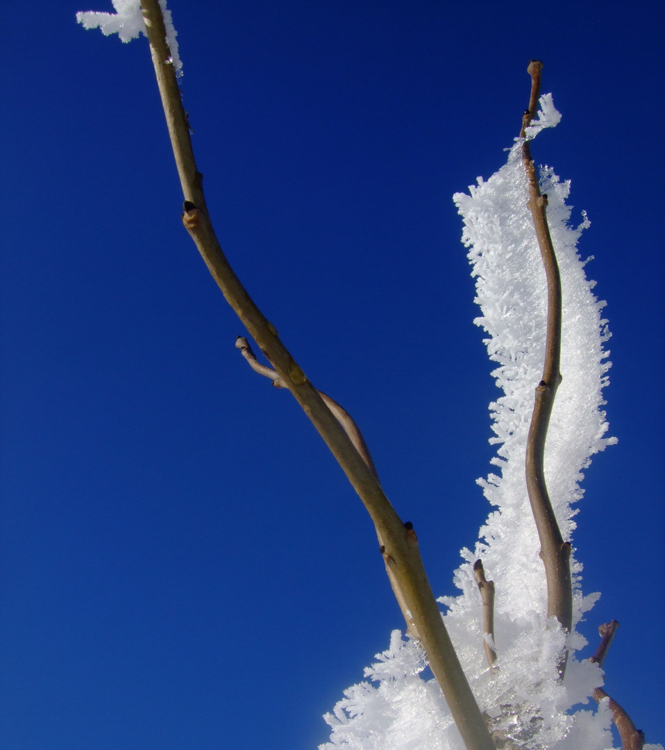 Bizarre Schneekunst No.III