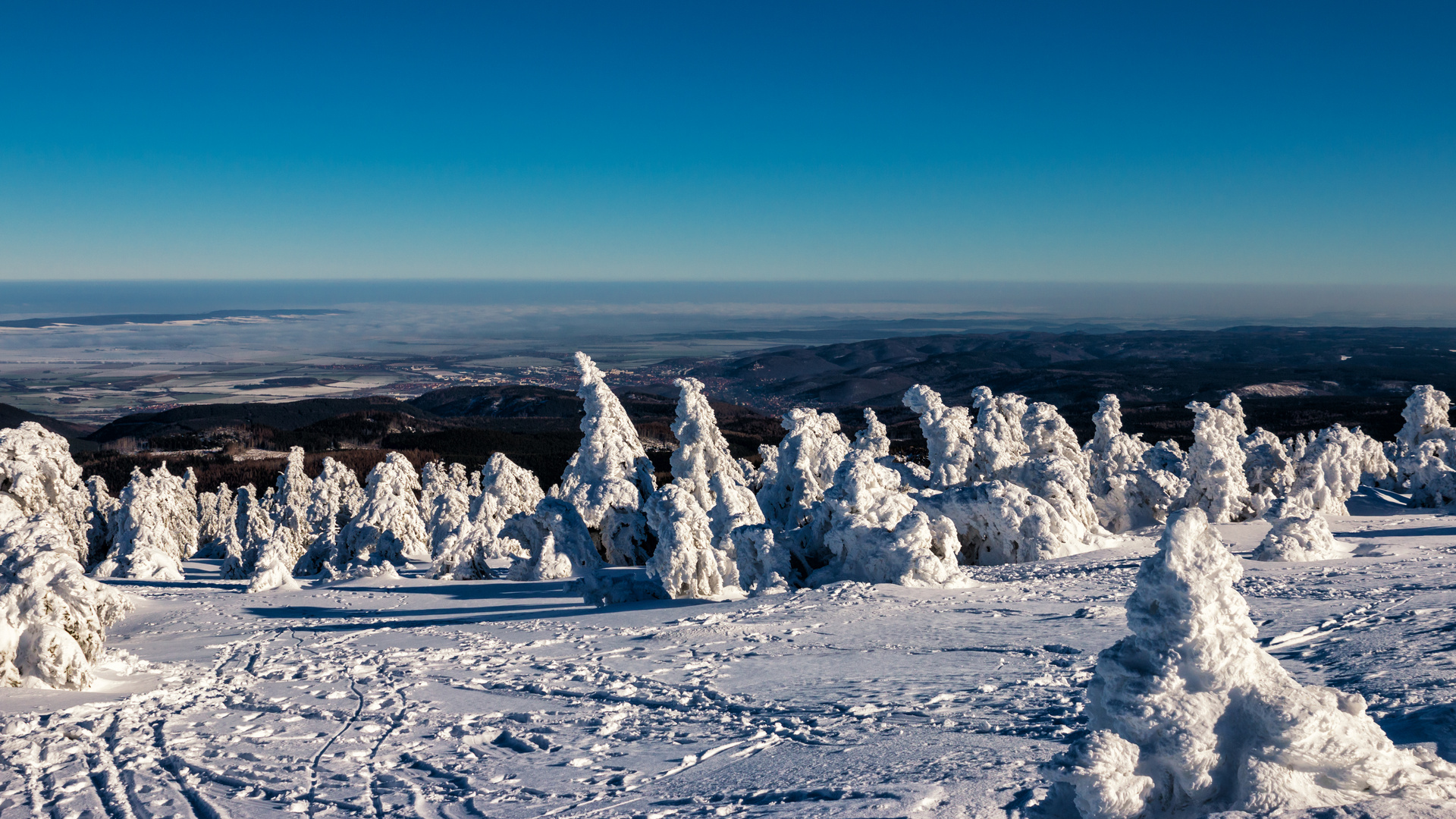 Bizarre Schneeskulpturen auf dem Brocken