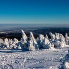 Bizarre Schneeskulpturen auf dem Brocken