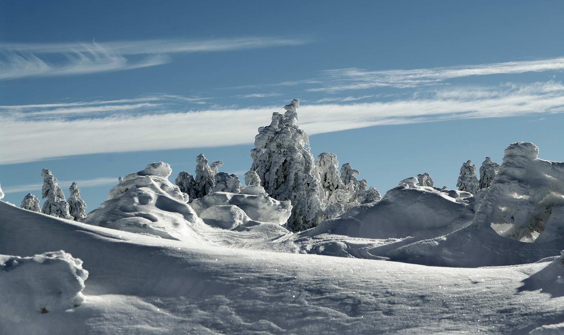 bizarre Schneewelt