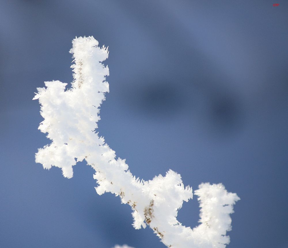 bizarre, unfreiwillige Eisskulptur