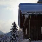 Bizarre Winteransichten bei Altaussee....