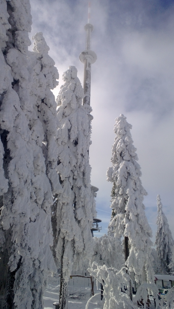 Bizarre Winterlandschaft am Ochsenkopf