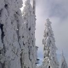 Bizarre Winterlandschaft am Ochsenkopf