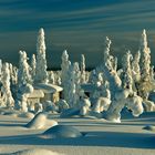 Bizarre Winterlandschaft