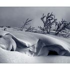 bizarre Winterlandschaft in Triplex