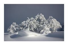 bizarre Winterlandschaft V