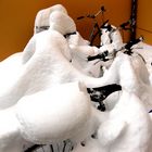 Bizarrer Winter: Fahrradabstellplatz vorm Haus