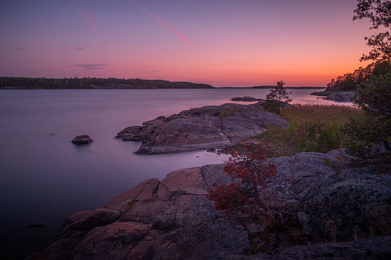 Björkholm