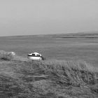 black and white baie de somme (4)