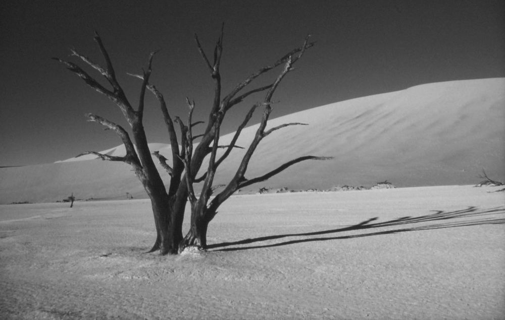 Black and white in roten Dünen