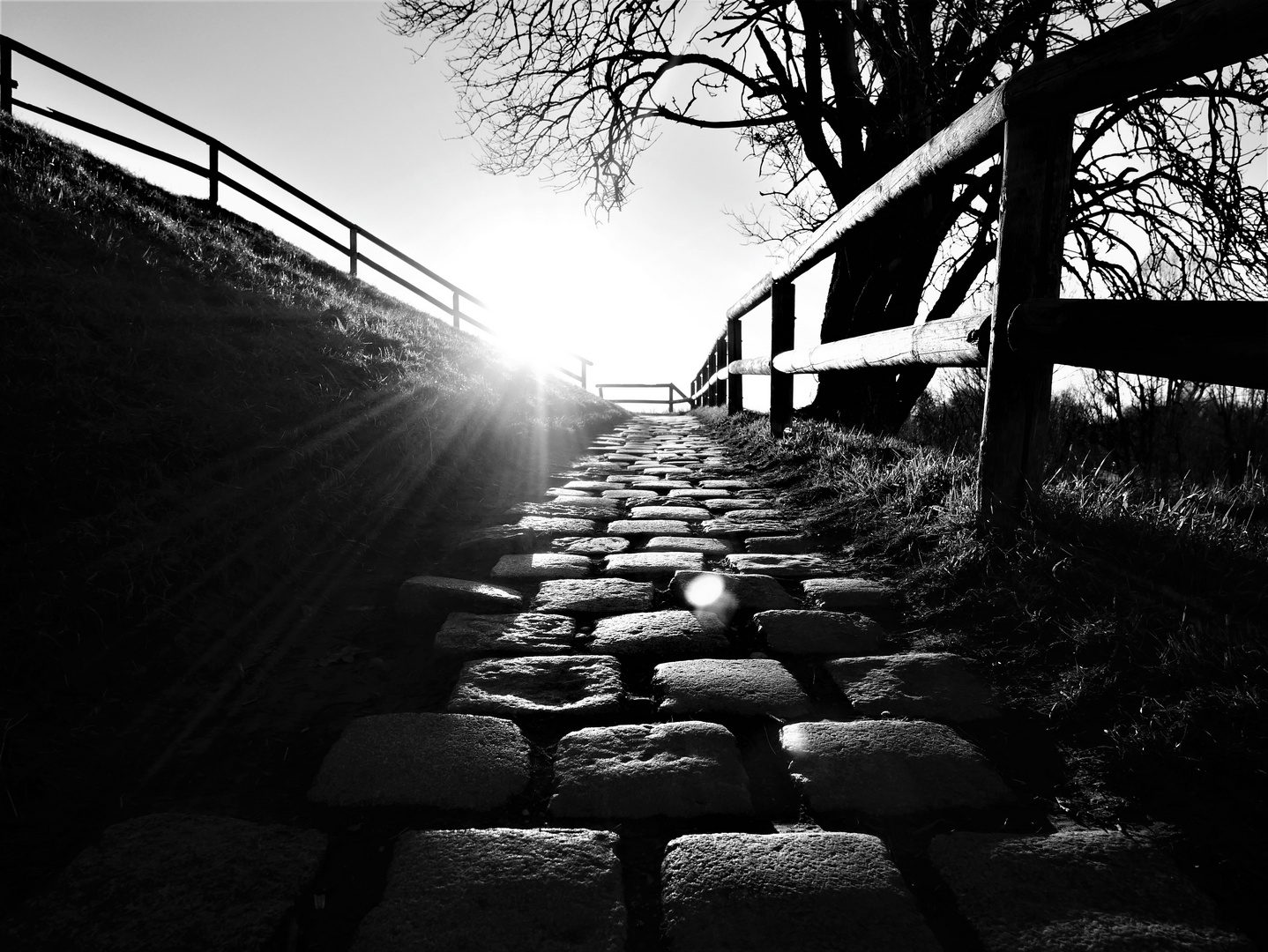 black and white path