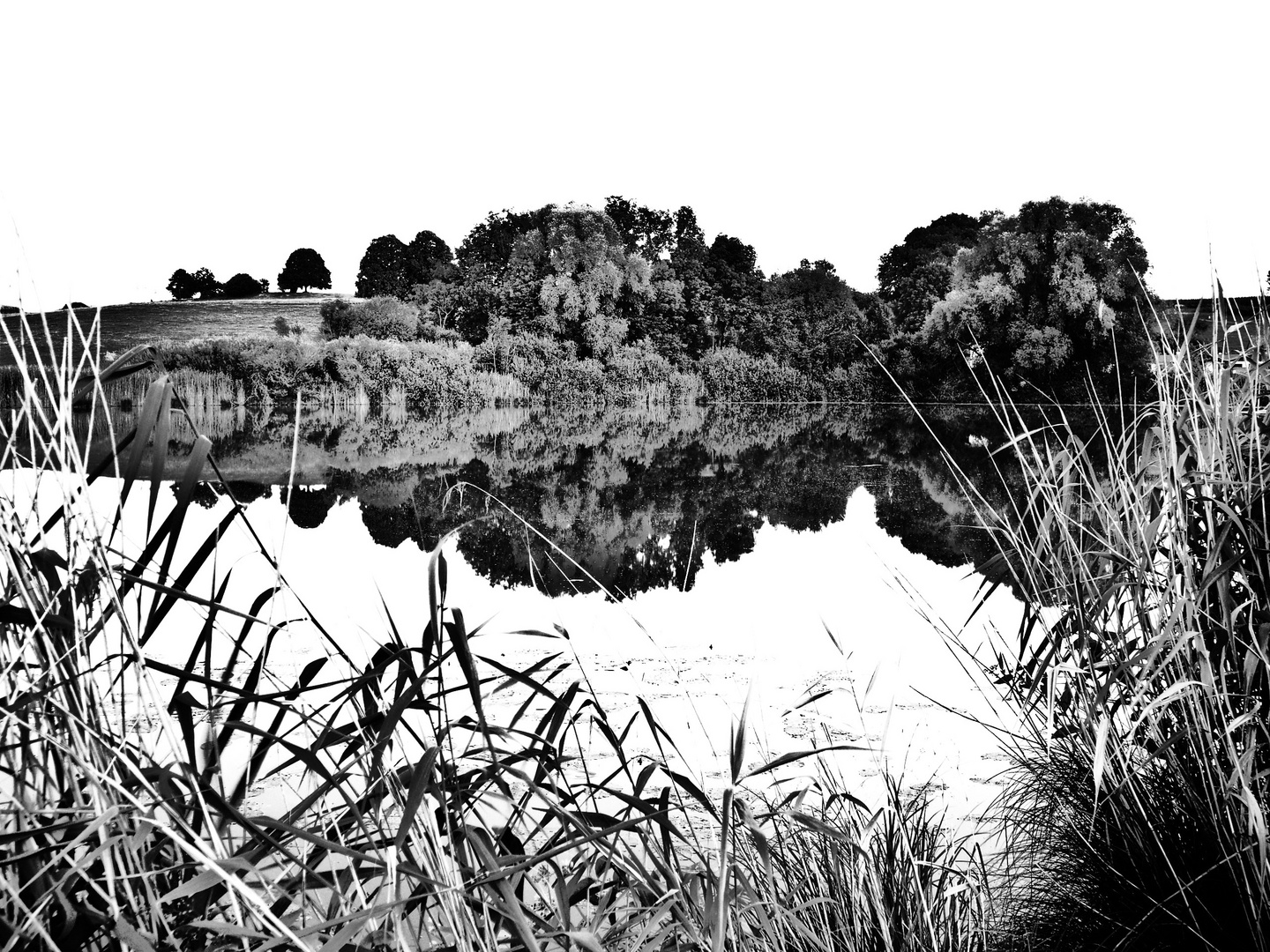 "black and white reflection"