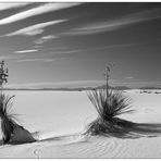 Black and White Sands