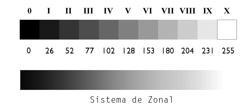 black and white scale