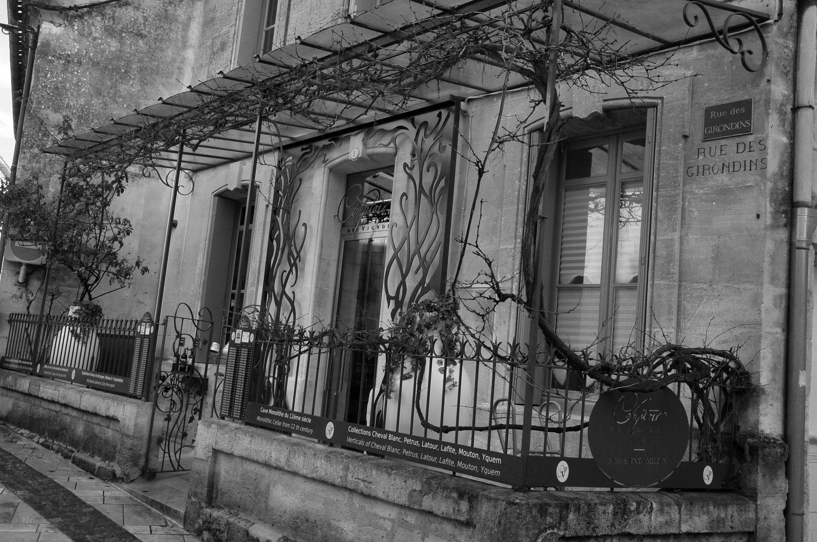 black and white st émilion , caveau a vin ! 