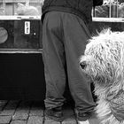 Black and white - Street photography