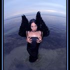 BLACK-ANGEL