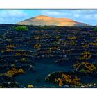 black beauty Lanzarote