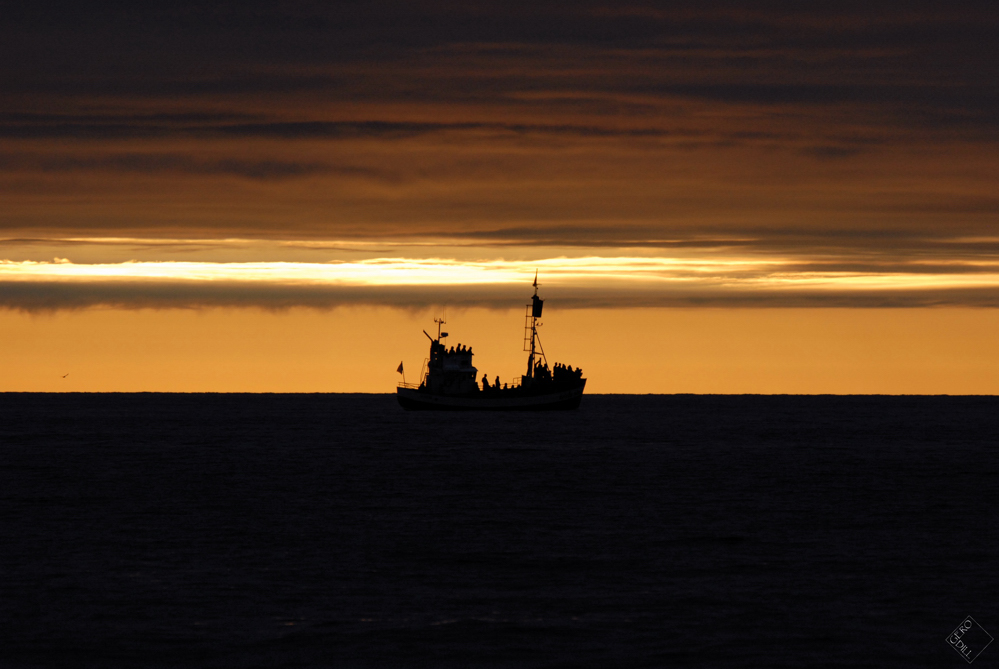 Black Boat II