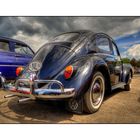 Black Bug `64