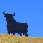 Black Bull