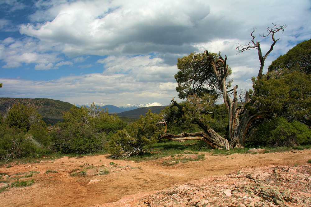 Black Canyon of the Gunisson