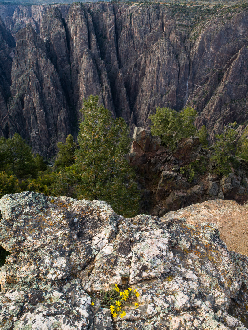 Black Canyon of the Gunnison 6