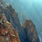 Black Canyon of the Gunnison