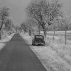 black car in spring infrared