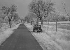 black car in spring infrared