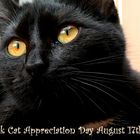 Black Cat Appreciation Day August 17th