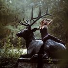 ~ black deer ~