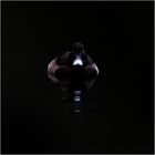 Black Duck