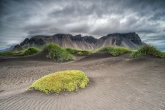 black dunes