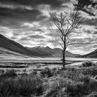 Black Etive