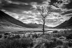 Black Etive