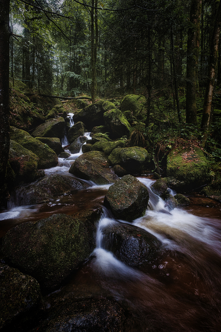 Black Forest