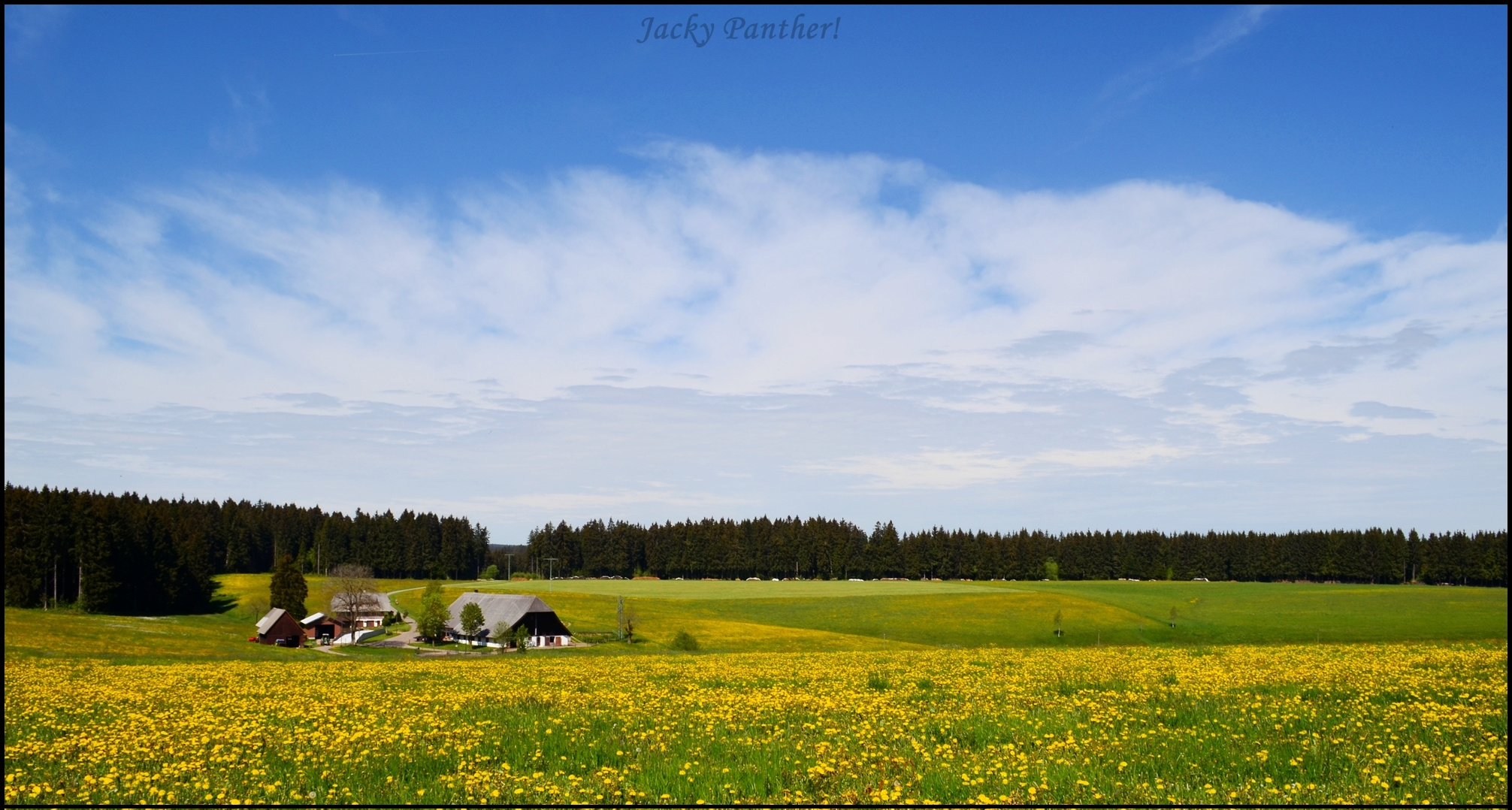 Black Forest