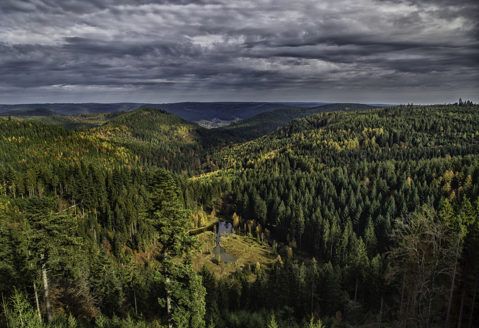 Black Forest at Kniebis Mountain