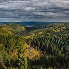 Black Forest at Kniebis Mountain