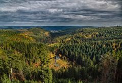 Black Forest at Kniebis Mountain