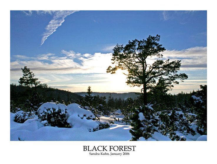 Black Forest