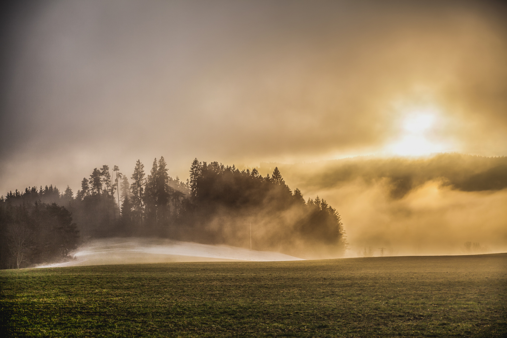 ## black forest ##