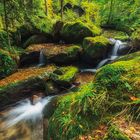 Black Forest in Autumn