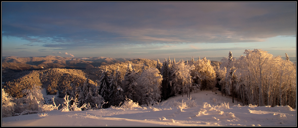 Black Forest in white